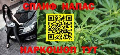 дживик Тверь