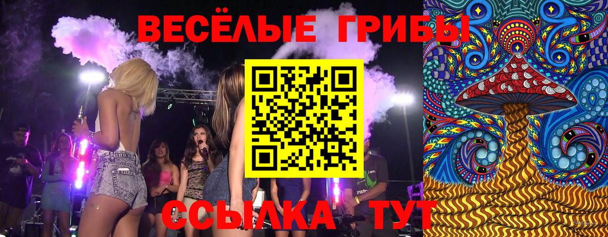 Сатка  Псилоцибиновые грибы Magic Shrooms  Вход с VPN 